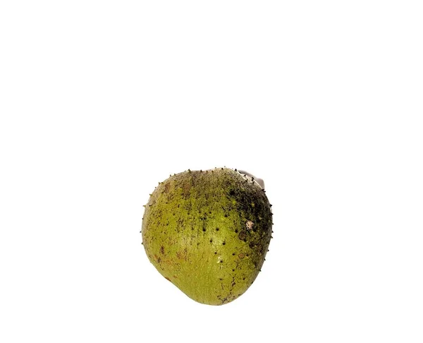 Friss Forrás Fehér Alapon Tipikus Guatemalai Gyümölcs — Stock Fotó