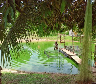 Peten, Guatemala 'da küçük bir gölde balık çiftliği
