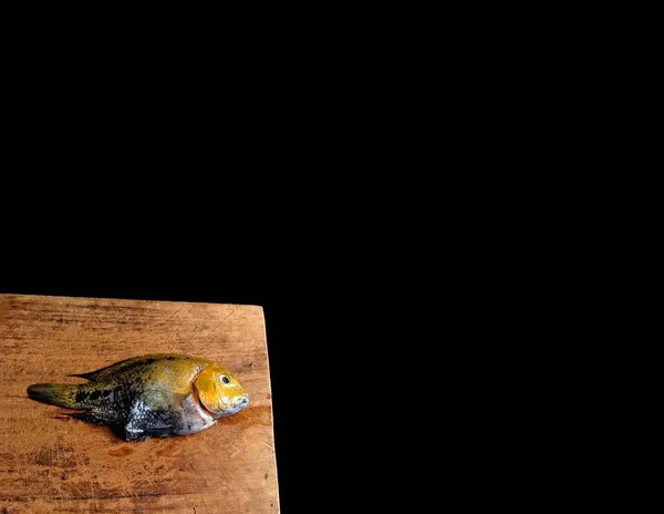 Pescado Crudo Tilapia Sobre Tabla Madera Con Fondo Negro Concepto —  Fotos de Stock