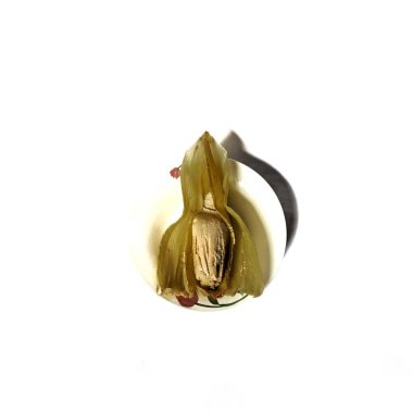 Beyaz arka planda mısır yaprağı olan otantik Tamale, Guatemala 'nın tipik yiyeceği.