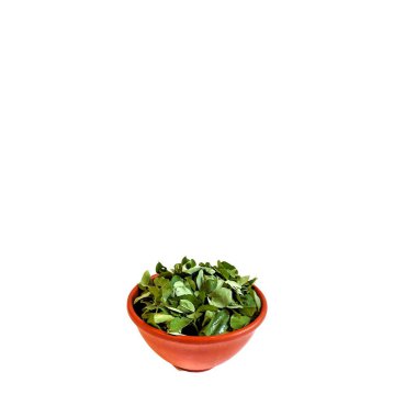 Chipilin leaves on a clay bowl with white background. typical food of Guatemala clipart