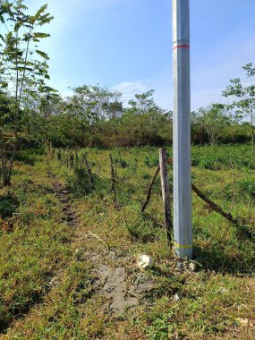 Kırsal kesimde çit ve bitki örtüsü olan elektrik direği, Guatemala