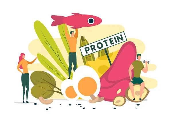Proteinreiche Nahrungsmittel Kommen Mensch Und Sportler Zugute Baustein Für Muskeln lizenzfreie Stockvektoren