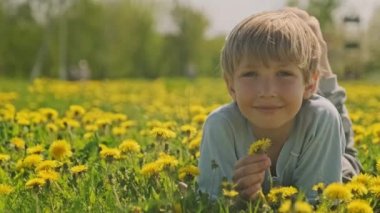 Çayırda yatan ve bakışları olan beyaz bir çocuk. Mutlu çocuk papatya tarlasında yatıyor, yakından bakıyor. Çayırdaki sarı saçlı çocuğun sevimli gülümseyen yüzü. Mutluluk ve çocukluk. Yavaş çekim