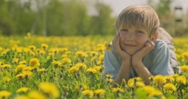 Küçük mutlu çocuk sarı papatyayı elinde tutuyor. Hild papatya tarlasında yatıyor, yakın çekim. Çayırdaki sarı saçlı çocuğun şirin, küçük çocuğu gibi. Ağır çekim. Düşük açılı atış..   