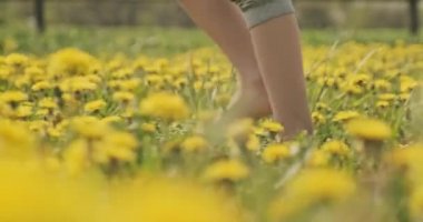 Bahar çayırında yürüyen ayakkabısız çocuk. Papatya tarlasında çocuk ayağı yakın çekim görüntüsü. Küçük çocuk yazın çayırda yeşil çimlerde yürür. Yavaş çekim
