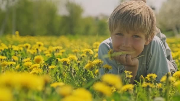 春の牧草地に寝そべっている可愛い白人の少年が見えます 幸せな子供はデイジーフィールド クローズアップビューに位置しています ブロンドの髪の男の子のかわいい笑顔の顔は 牧草地で 幸せと子供時代 スローモーション — ストック動画