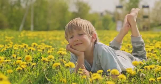 春の牧草地に寝そべっている可愛い白人の少年が見えます 幸せな子供はデイジーフィールド クローズアップビューに位置しています ブロンドの髪の男の子のかわいい笑顔の顔は 牧草地で 幸せと子供時代 スローモーション — ストック動画