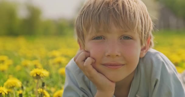 漂亮的高加索男孩躺在春天的草地上看着 快乐的孩子躺在雏菊场 近距离观察 一个金发男孩可爱的笑脸 在草地上 幸福与童年 慢动作 — 图库视频影像