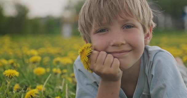 漂亮的高加索男孩躺在春天的草地上看着 快乐的孩子躺在雏菊场 近距离观察 一个金发男孩可爱的笑脸 在草地上 幸福与童年 慢动作 — 图库视频影像