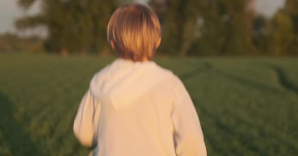 夏天日出时 快乐的孩子在草地上的绿草上奔跑 快乐的7岁快乐的男孩在战场上奔跑 春天的时候 在大自然的问题上 积极的微笑男孩 慢动作 背景色 — 图库视频影像