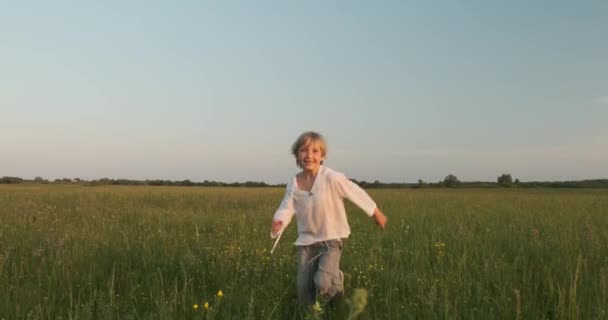 快乐的孩子在草地上跑来跑去 跳在绿草上 快乐的7岁快乐的男孩正在田里跳跃 幸福的概念 春天的时候 孩子们对大自然充满了积极的微笑 慢动作 — 图库视频影像