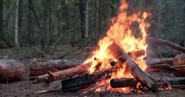 Groot Brandend Vuur Het Bos Bij Bewolkt Weer Laag Zicht — Stockvideo