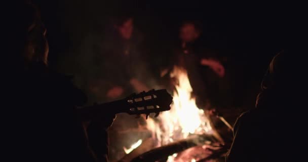 Aile Bir Yaz Akşamında Kamp Ateşinin Etrafında Oturur Ebeveynleriyle Birlikte — Stok video