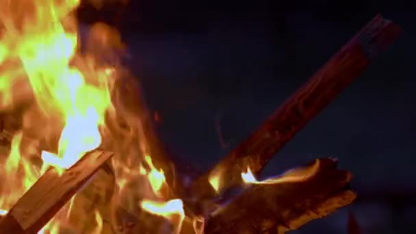 Ormanda Büyük Bir Yangın Var Gece Vakti Ağır Çekim Gece — Stok video