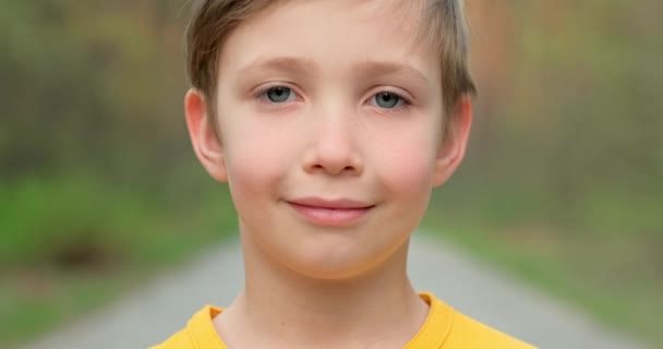 Closeup Face Little Boy Looking Camera Nature White Boy Years — Stock Video