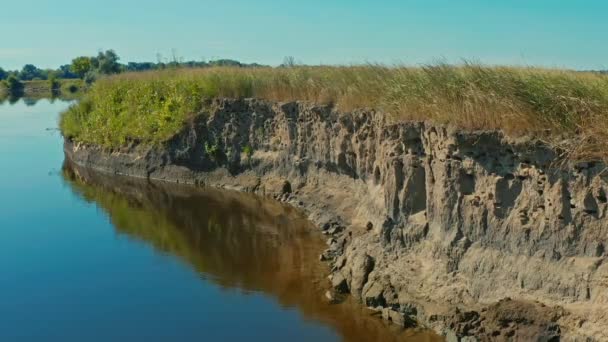 Letecký Filmový Klip Dron Pozorování Vlaštovek Divočině Vlaštovky Letí Svých — Stock video