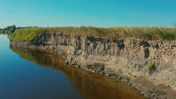 空中电影剪辑无人驾驶飞机观察野外燕子 燕子在河上陡峭的悬崖上飞去它们的巢穴 鸟儿在水边飞向它们的窝 — 图库视频影像