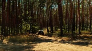 Köy yolunda giden at arabasının sinematik klibi. Hızlı araba büyük toz bulutlarıyla sürüyor. Forest Road 'da yarış arabası sürüşü, motor sesi ile. 