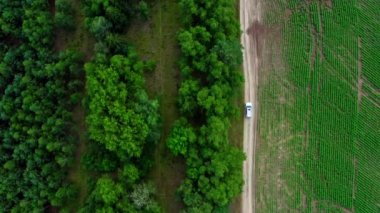 Hava aracı görüntüsü: beyaz SUV aracı kırsal yolda gidiyor. Drone ülkeyi boydan boya geçen bir arabayı takip ediyor. Araba macerası işte. Hareket halindeki arabaya üstten bak.