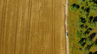 Hava aracı görüntüsü: beyaz SUV aracı buğday tarlasının yakınındaki kırsal yolda gidiyor. Drone ülkeyi boydan boya geçen bir arabayı takip ediyor. Araba macerası işte. Hareket halindeki arabaya üstten bak.