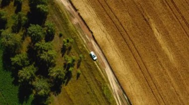 Hava aracı görüntüsü: beyaz SUV aracı buğday tarlasının yakınındaki kırsal yolda gidiyor. Drone ülkeyi boydan boya geçen bir arabayı takip ediyor. Araba macerası işte. Hareket halindeki arabaya üstten bak.
