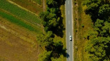Hava aracı görüntüsü: Beyaz SUV arabası büyük ağaçların arasında yola çıkıyor. Drone, ormanlar arasında yol alan bir arabayı takip ediyor. Araba macerası işte. Hareket halindeki arabaya üstten bak. 