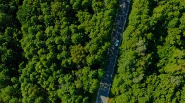 Hava aracı görüntüsü: Beyaz SUV arabası büyük ağaçların arasında yola çıkıyor. Drone, ormanlar arasında yol alan bir arabayı takip ediyor. Araba macerası işte. Hareket halindeki arabaya üstten bak. 
