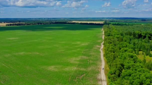 Widok Lotu Ptaka Biały Suv Jedzie Wiejską Drogą Drone Jedzie — Wideo stockowe