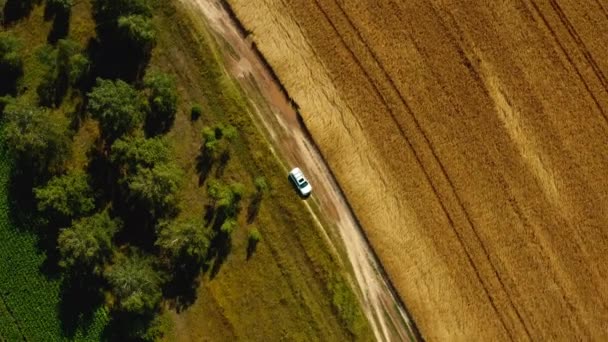 Vista Aérea Drone Carro Branco Suv Está Indo Estrada Rural — Vídeo de Stock