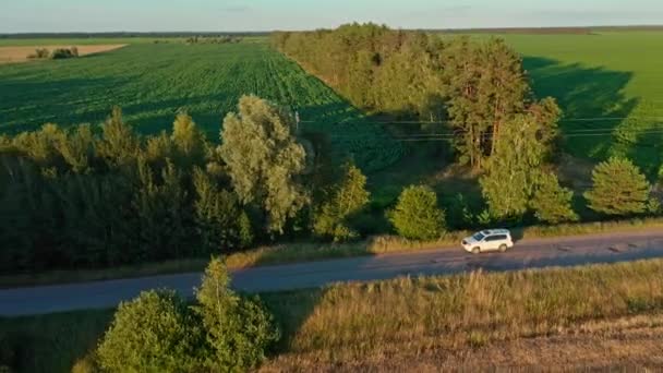 Vista Aérea Del Dron Coche Suv Blanco Camino Drone Está — Vídeos de Stock