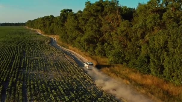 Widok Lotu Drona Biały Samochód Suv Szybko Jedzie Wiejskiej Drodze — Wideo stockowe