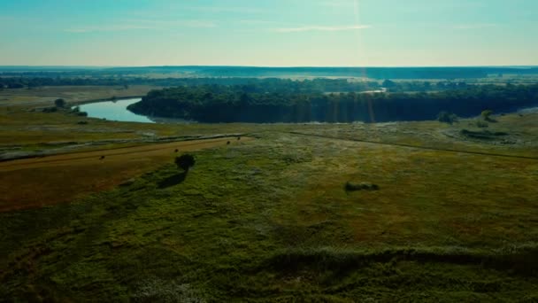 Widok Lotu Ptaka Błękitnym Niebem Nad Rzeką Desną Ukraina Drone — Wideo stockowe