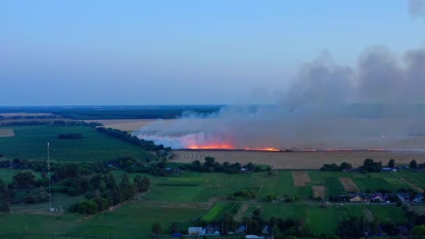 Поле Фермы Огне Вид Воздуха Сжигание Сельскохозяйственного Пшеничного Поля Беспилотник — стоковое видео