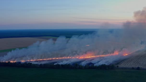 Bovenaanzicht Het Veld Vliegen Met Een Vuur Luchtfoto Rookwolken Verspreiding — Stockvideo