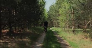 Orman yolunda bisiklet sürerler. Ormanda bisiklete binen bir adam. Bisiklet kasklı yetişkin bir adam yazın MTB bisikletine biner..