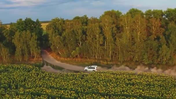 Drohnenbild Aus Der Luft Weißer Geländewagen Ist Auf Landstraße Unterwegs — Stockvideo