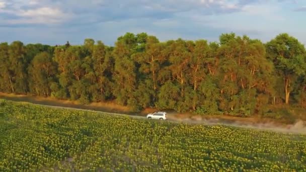 空中无人机观察 白色越野车在农村道路上快速行驶 无人机正在跟踪一辆高速穿越国境的汽车 快速移动的汽车 在它的身后留下灰尘的云 — 图库视频影像
