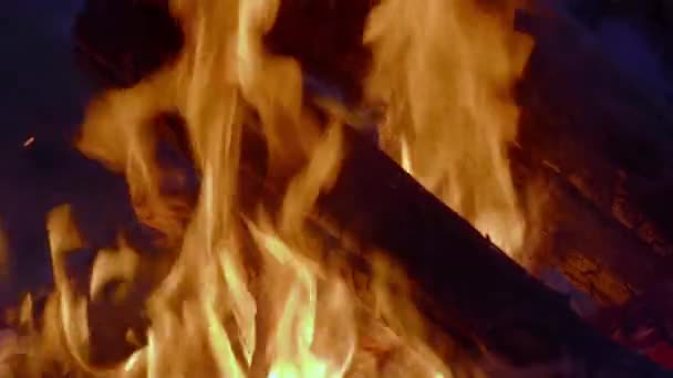 Velký Hořící Oheň Lese Noci Zpomalený Pohyb Detailní Záběr Táborák — Stock video