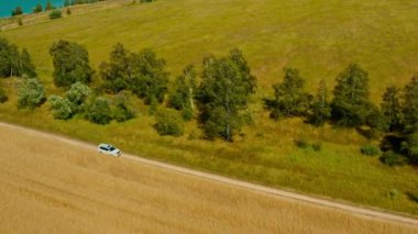 Hava aracı görüntüsü: beyaz SUV aracı buğday tarlasının yakınındaki kırsal yolda gidiyor. İnsansız hava aracı geniş toz bulutlarıyla engebeli arazide giden bir aracı takip ediyor. Araba macerası. Hareket halindeki arabaya üstten bak