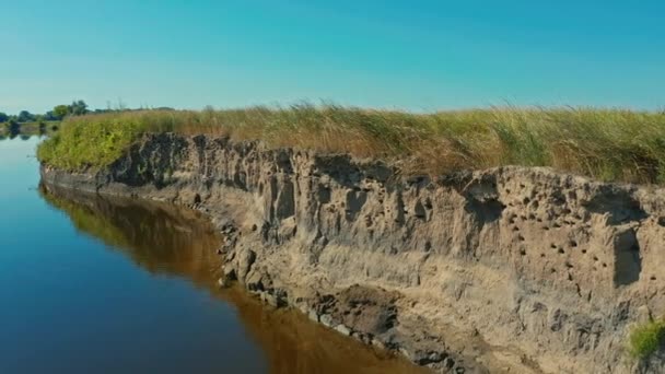 Aerial Cinematic Clip Drone Observation Swallows Wild Las Golondrinas Vuelan — Vídeos de Stock