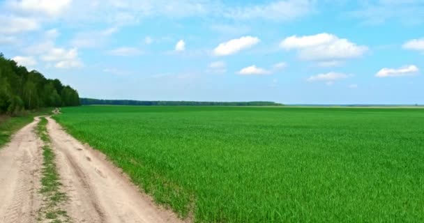 Filmový Záběr Venkovské Silnice Poblíž Lesů Polí Farmě Jasného Slunečného — Stock video