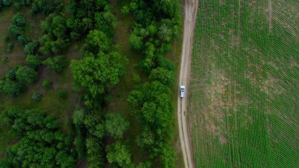 Vista Aérea Del Dron Coche Suv Blanco Camino Rural Drone — Vídeo de stock