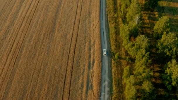 Вид Воздуха Белый Внедорожник Быстро Движется Сельской Дороге Возле Пшеничного — стоковое видео