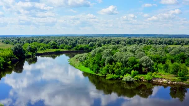 Aerial Cinematic View Drone Flies Beautiful Summer Landscape River While — Stock Video