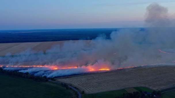 Bovenaanzicht Het Veld Vliegen Met Een Vuur Luchtfoto Rookwolken Verspreiding — Stockvideo