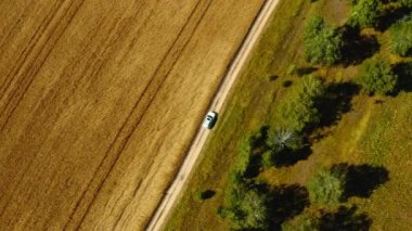 Hava aracı görüntüsü: beyaz SUV aracı buğday tarlasının yakınındaki kırsal yolda gidiyor. Drone ülkeyi boydan boya geçen bir arabayı takip ediyor. Araba macerası işte. Hareket halindeki arabaya üstten bak.