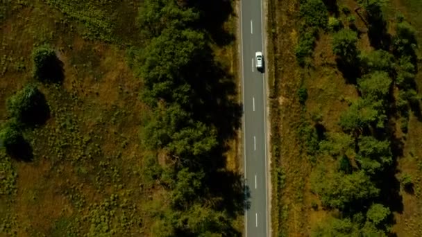 Widok Lotu Drona Biały Samochód Suv Będzie Drodze Wśród Dużych — Wideo stockowe