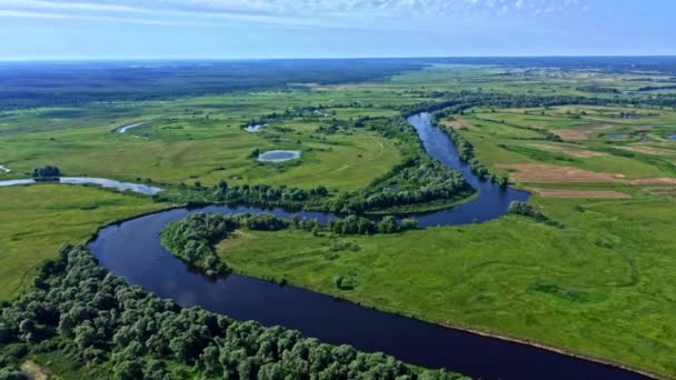 空中电影 无人驾驶飞机在美丽的风景之上飞得非常高 还有一条弯曲的河流 无人机的空中景色掠过了绿色的夏季风景 野性的最高视图 Meadows — 图库视频影像