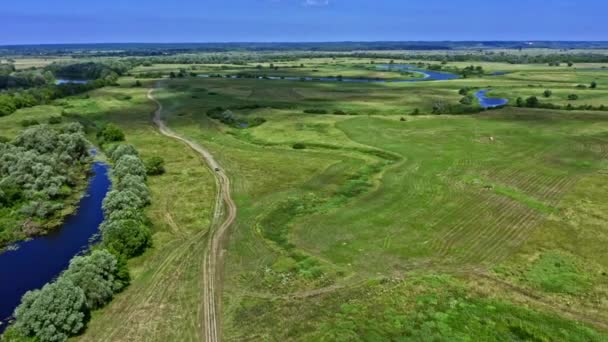 Vista Aerea Dal Drone Che Sta Inseguendo Una Macchina Rally — Video Stock